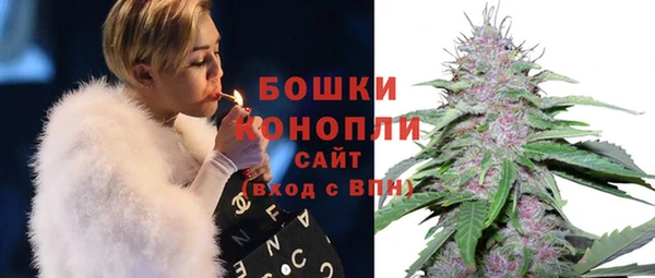 гидра Верхний Тагил