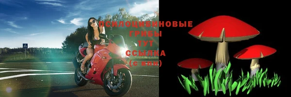 ГАЛЛЮЦИНОГЕННЫЕ ГРИБЫ Верхнеуральск