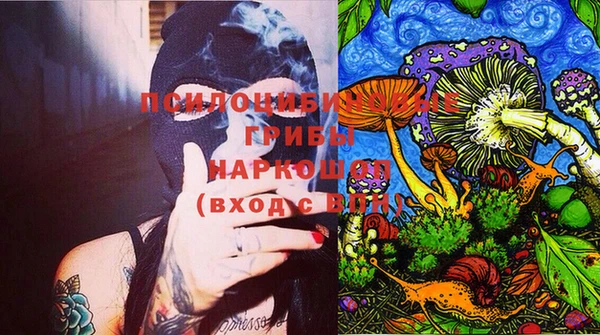 стаф Володарск